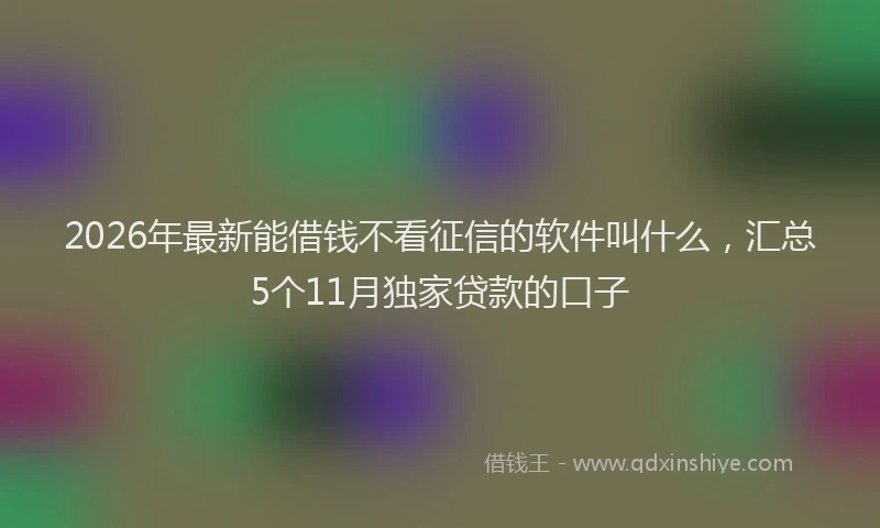 2026年最新能借钱不看征信的软件叫什么，汇总5个11月独家贷款的口子