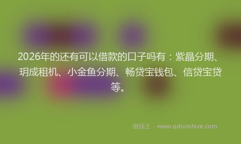 2026年的还有可以借款的口子吗有：紫晶分期、玥成租机、小金鱼分期、畅贷宝钱包、信贷宝贷等。