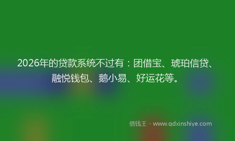 2026年的贷款系统不过有：团借宝、琥珀信贷、融悦钱包、鹅小易、好运花等。