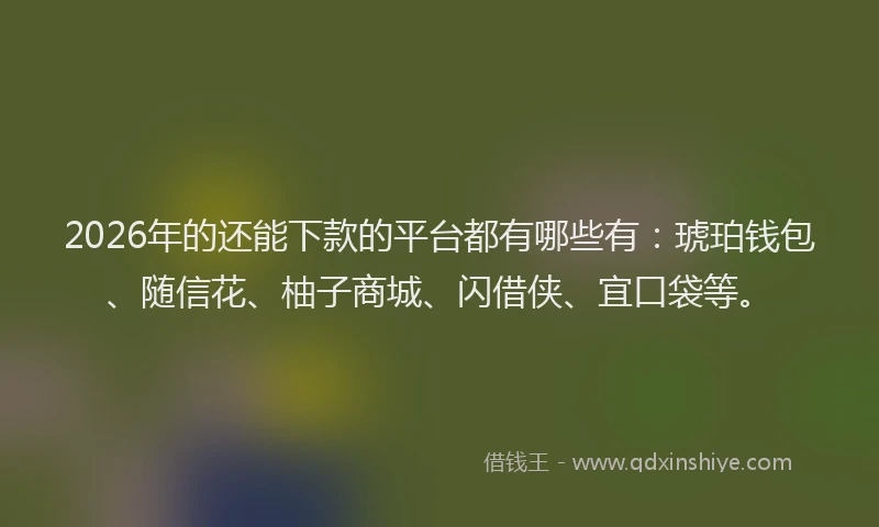 2026年的还能下款的平台都有哪些有：琥珀钱包、随信花、柚子商城、闪借侠、宜口袋等。