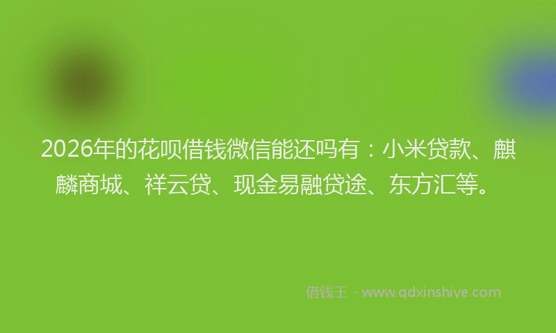 2026年的花呗借钱微信能还吗有：小米贷款、麒麟商城、祥云贷、现金易融贷途、东方汇等。