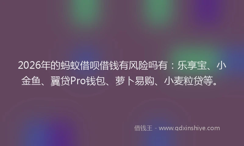 2026年的蚂蚁借呗借钱有风险吗有：乐享宝、小金鱼、翼贷Pro钱包、萝卜易购、小麦粒贷等。