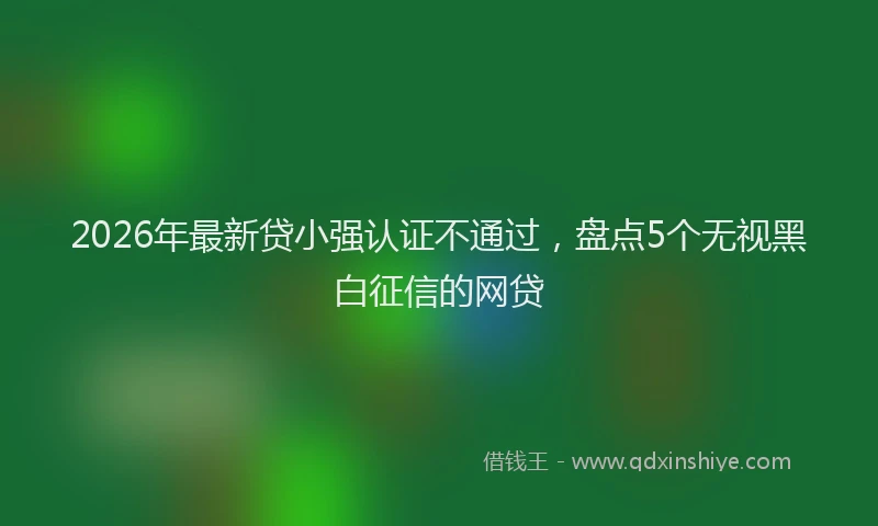 2026年最新贷小强认证不通过，盘点5个无视黑白征信的网贷
