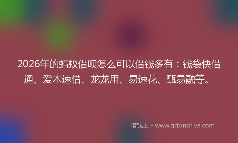 2026年的蚂蚁借呗怎么可以借钱多有：钱袋快借通、爱木速借、龙龙用、易速花、甄易融等。