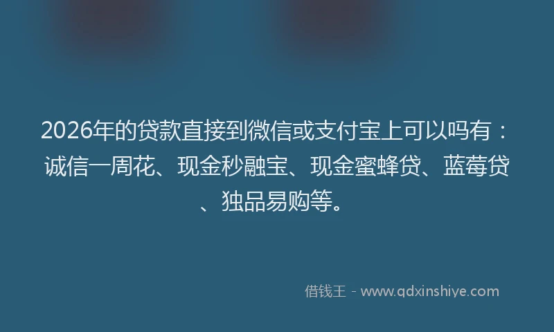 2026年的贷款直接到微信或支付宝上可以吗有：诚信一周花、现金秒融宝、现金蜜蜂贷、蓝莓贷、独品易购等。