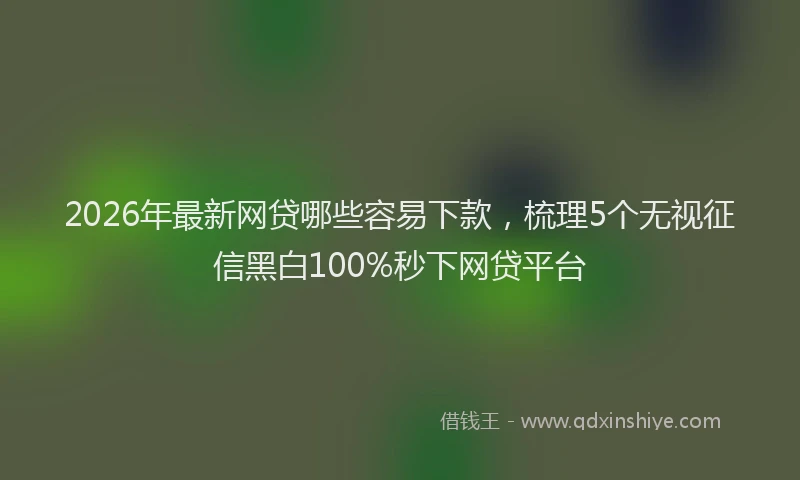 2026年最新网贷哪些容易下款，梳理5个无视征信黑白100%秒下网贷平台