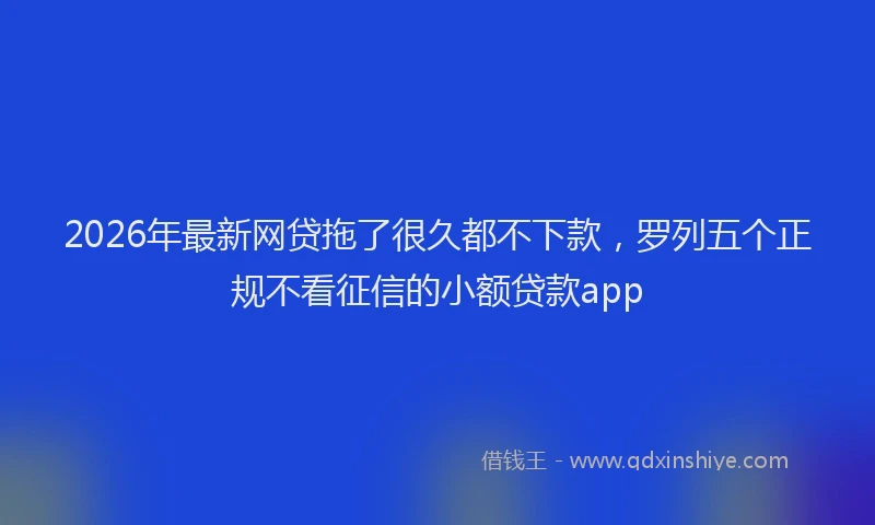 2026年最新网贷拖了很久都不下款，罗列五个正规不看征信的小额贷款app