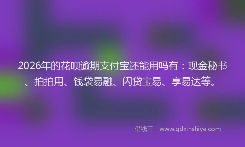 2026年的花呗逾期支付宝还能用吗有：现金秘书、拍拍用、钱袋易融、闪贷宝易、享易达等。