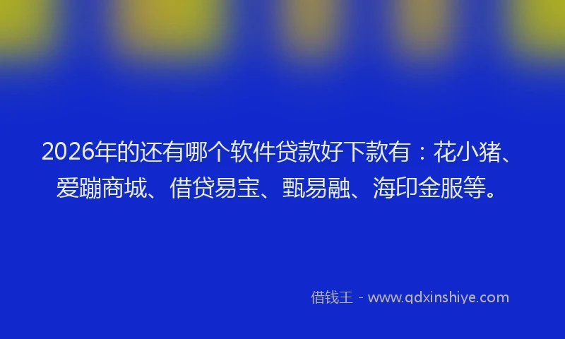 2026年的还有哪个软件贷款好下款有：花小猪、爱蹦商城、借贷易宝、甄易融、海印金服等。