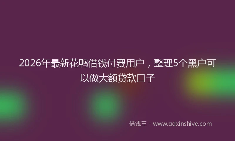 2026年最新花鸭借钱付费用户，整理5个黑户可以做大额贷款口子