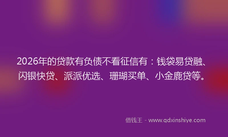 2026年的贷款有负债不看征信有：钱袋易贷融、闪银快贷、派派优选、珊瑚买单、小金鹿贷等。