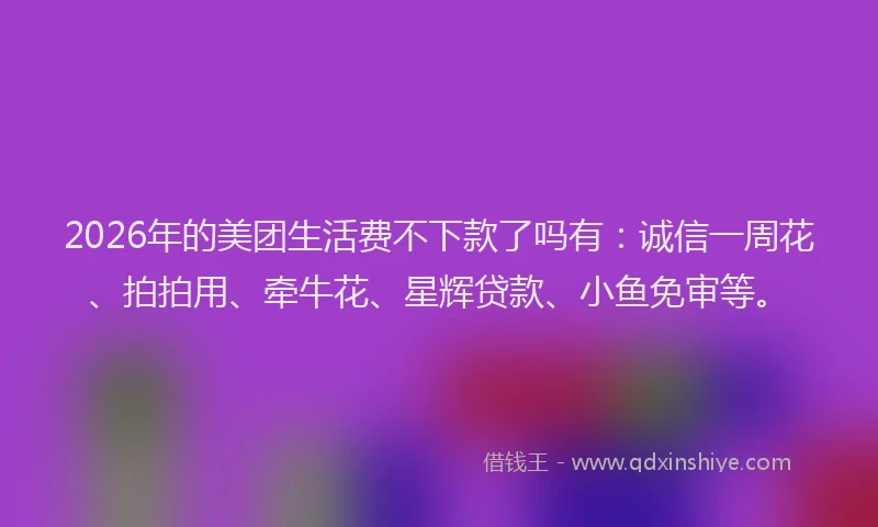 2026年的美团生活费不下款了吗有：诚信一周花、拍拍用、牵牛花、星辉贷款、小鱼免审等。