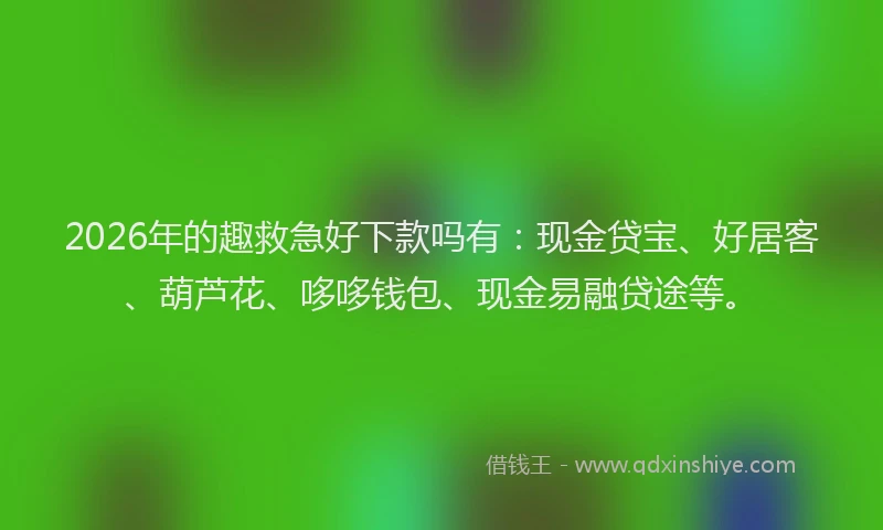 2026年的趣救急好下款吗有：现金贷宝、好居客、葫芦花、哆哆钱包、现金易融贷途等。