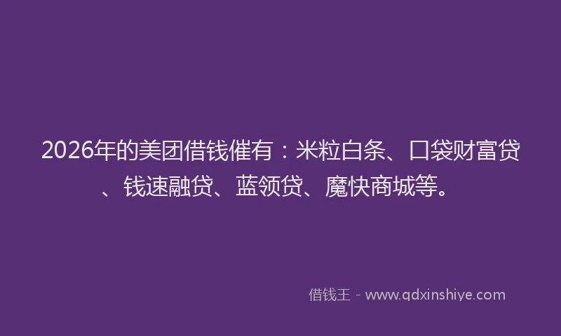 2026年的美团借钱催有：米粒白条、口袋财富贷、钱速融贷、蓝领贷、魔快商城等。