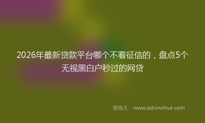 2026年最新贷款平台哪个不看征信的，盘点5个无视黑白户秒过的网贷