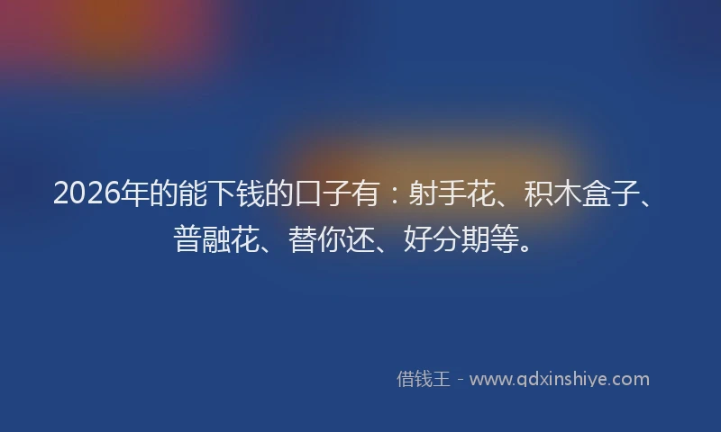 2026年的能下钱的口子有：射手花、积木盒子、普融花、替你还、好分期等。