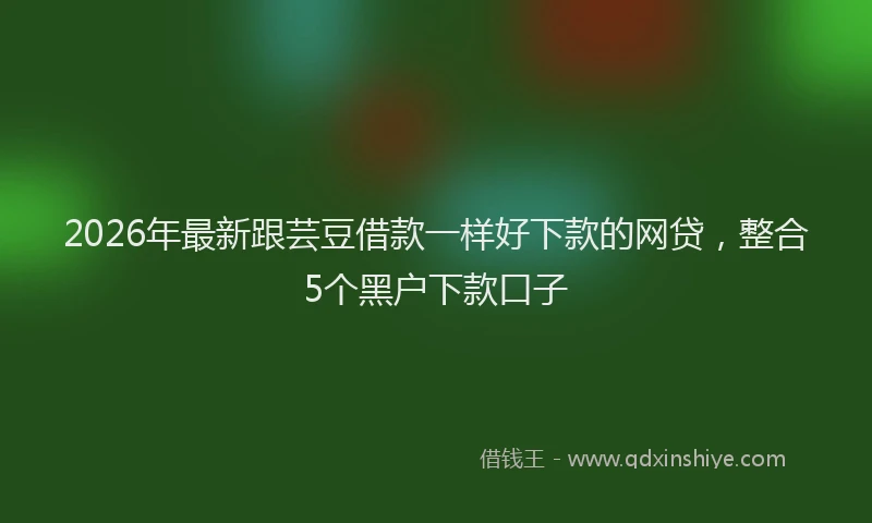 2026年最新跟芸豆借款一样好下款的网贷，整合5个黑户下款口子