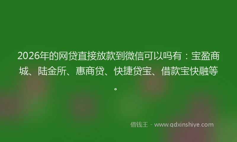 2026年的网贷直接放款到微信可以吗有：宝盈商城、陆金所、惠商贷、快捷贷宝、借款宝快融等。