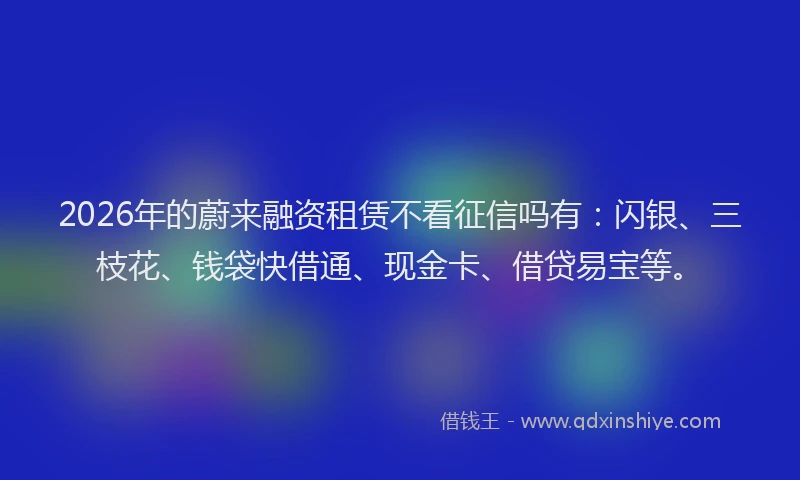 2026年的蔚来融资租赁不看征信吗有：闪银、三枝花、钱袋快借通、现金卡、借贷易宝等。
