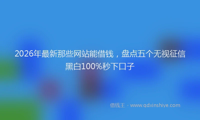 2026年最新那些网站能借钱，盘点五个无视征信黑白100%秒下口子