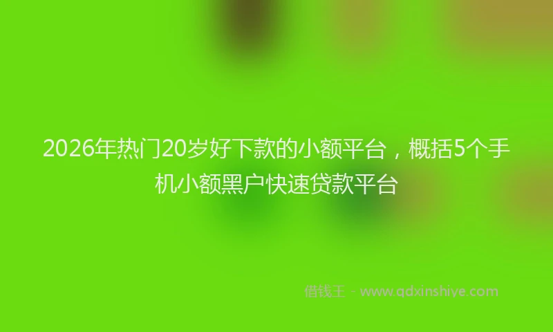 2026年热门20岁好下款的小额平台，概括5个手机小额黑户快速贷款平台