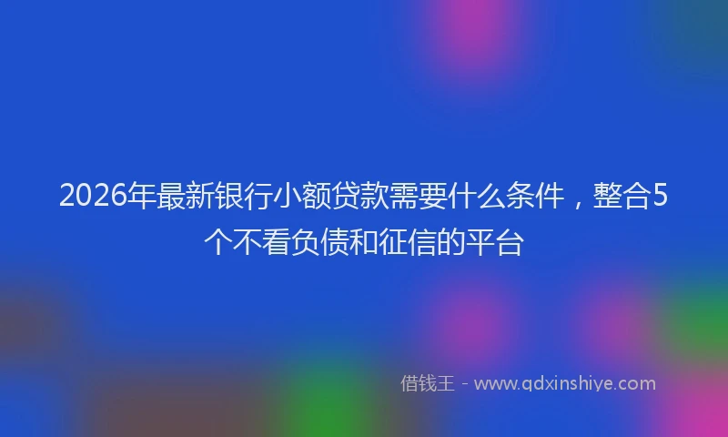 2026年最新银行小额贷款需要什么条件，整合5个不看负债和征信的平台