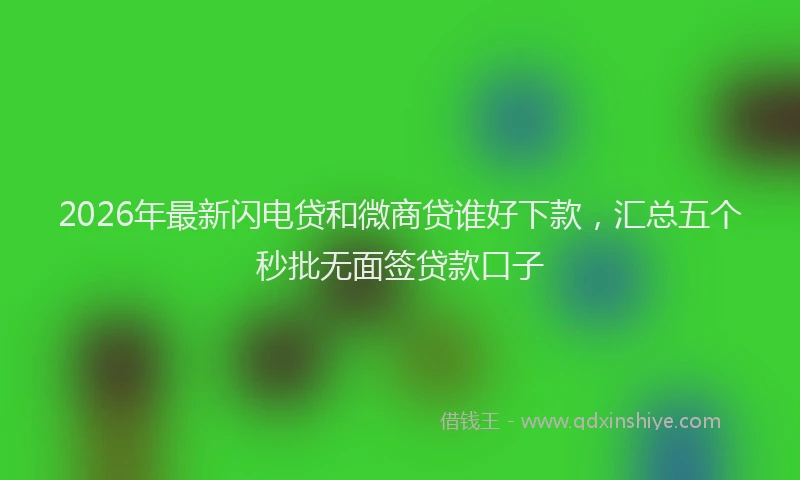 2026年最新闪电贷和微商贷谁好下款，汇总五个秒批无面签贷款口子