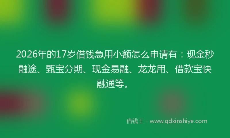 2026年的17岁借钱急用小额怎么申请有：现金秒融途、甄宝分期、现金易融、龙龙用、借款宝快融通等。