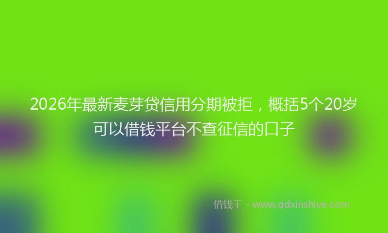 2026年最新麦芽贷信用分期被拒，概括5个20岁可以借钱平台不查征信的口子