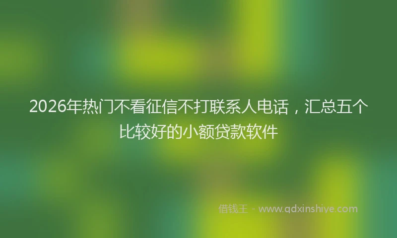 2026年热门不看征信不打联系人电话，汇总五个比较好的小额贷款软件