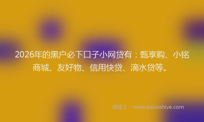 2026年的黑户必下口子小网贷有：甄享购、小铭商城、友好物、信用快贷、滴水贷等。