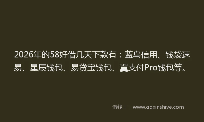 2026年的58好借几天下款有：蓝鸟信用、钱袋速易、星辰钱包、易贷宝钱包、翼支付Pro钱包等。