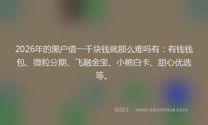 2026年的黑户借一千块钱就那么难吗有：有钱钱包、微粒分期、飞融金宝、小熊白卡、甜心优选等。