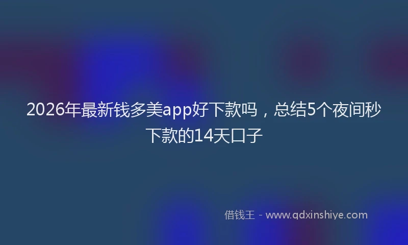 2026年最新钱多美app好下款吗，总结5个夜间秒下款的14天口子