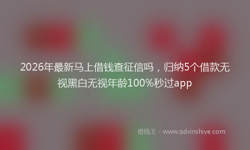 2026年最新马上借钱查征信吗，归纳5个借款无视黑白无视年龄100%秒过app