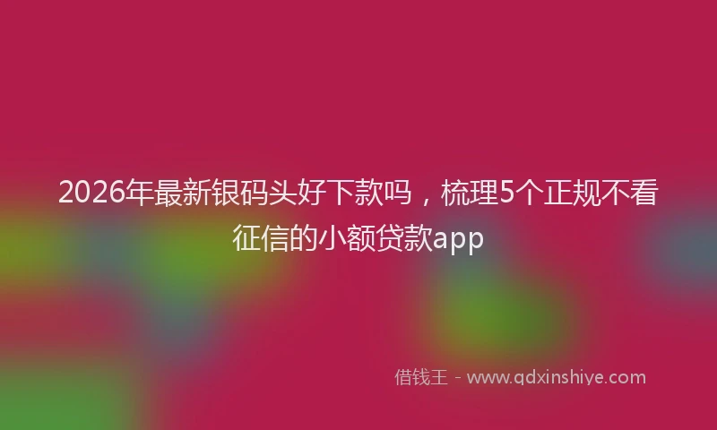 2026年最新银码头好下款吗，梳理5个正规不看征信的小额贷款app