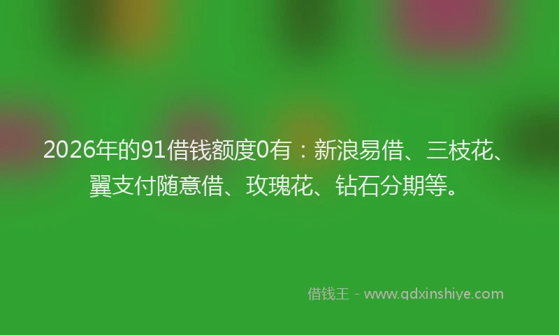 2026年的91借钱额度0有：新浪易借、三枝花、翼支付随意借、玫瑰花、钻石分期等。