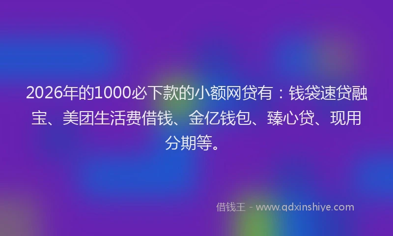 2026年的1000必下款的小额网贷有：钱袋速贷融宝、美团生活费借钱、金亿钱包、臻心贷、现用分期等。