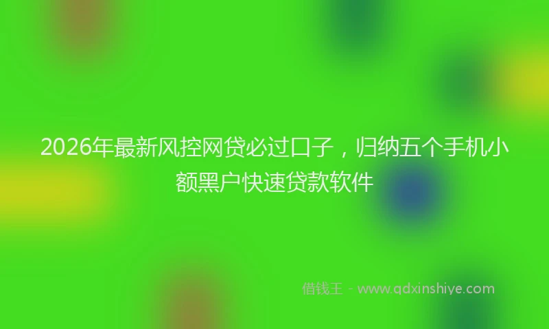 2026年最新风控网贷必过口子，归纳五个手机小额黑户快速贷款软件