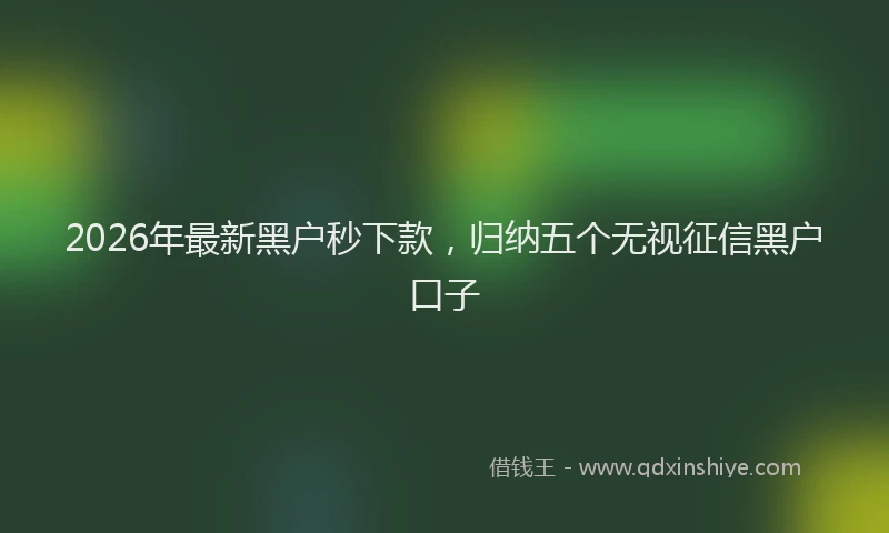 2026年最新黑户秒下款，归纳五个无视征信黑户口子