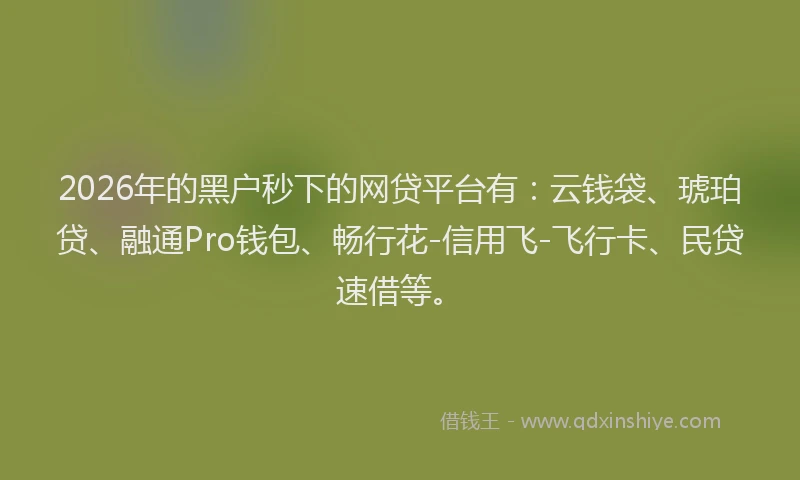 2026年的黑户秒下的网贷平台有：云钱袋、琥珀贷、融通Pro钱包、畅行花-信用飞-飞行卡、民贷速借等。
