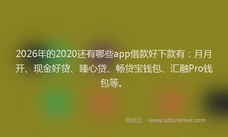 2026年的2020还有哪些app借款好下款有：月月开、现金好贷、臻心贷、畅贷宝钱包、汇融Pro钱包等。