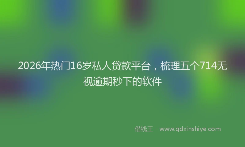 2026年热门16岁私人贷款平台，梳理五个714无视逾期秒下的软件