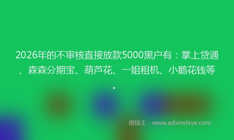 2026年的不审核直接放款5000黑户有：掌上贷通、森森分期宝、葫芦花、一姐租机、小鹅花钱等。