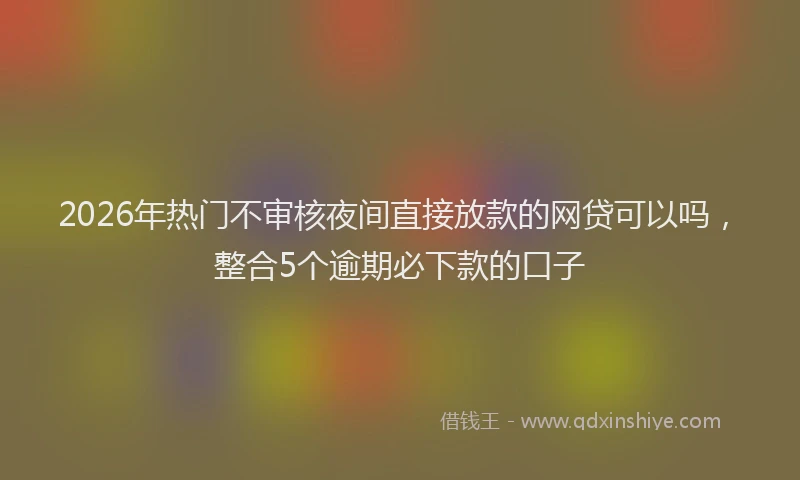 2026年热门不审核夜间直接放款的网贷可以吗，整合5个逾期必下款的口子