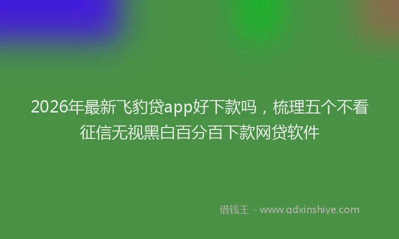 2026年最新飞豹贷app好下款吗，梳理五个不看征信无视黑白百分百下款网贷软件