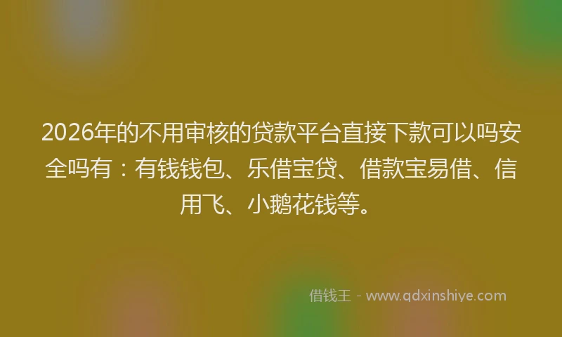 2026年的不用审核的贷款平台直接下款可以吗安全吗有：有钱钱包、乐借宝贷、借款宝易借、信用飞、小鹅花钱等。