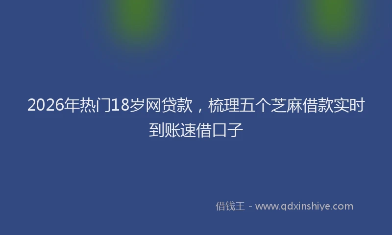 2026年热门18岁网贷款，梳理五个芝麻借款实时到账速借口子