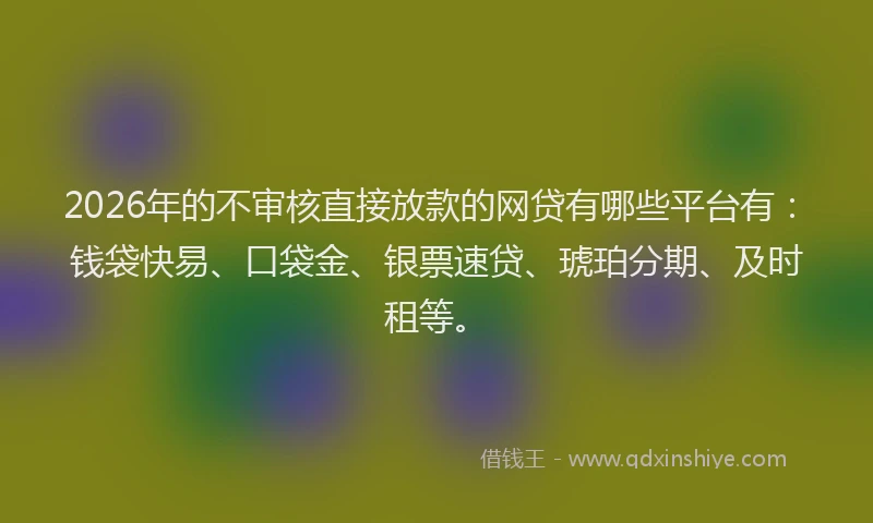 2026年的不审核直接放款的网贷有哪些平台有：钱袋快易、口袋金、银票速贷、琥珀分期、及时租等。
