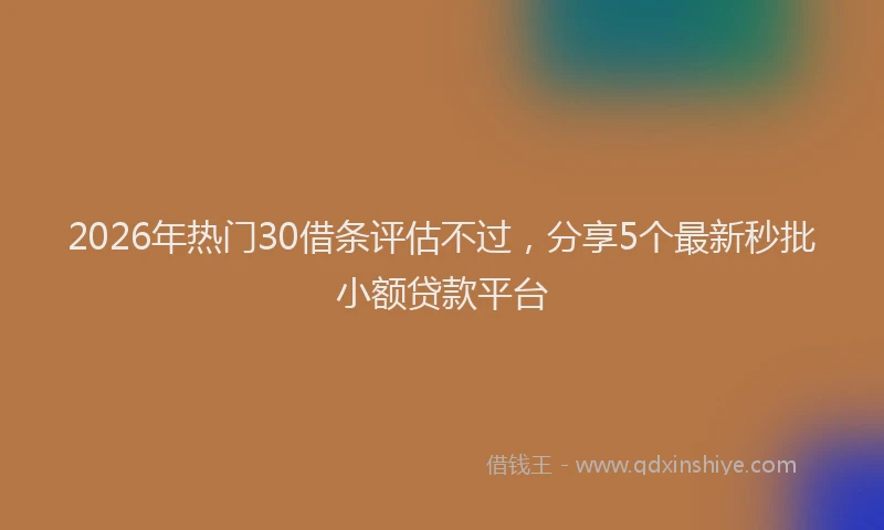 2026年热门30借条评估不过，分享5个最新秒批小额贷款平台